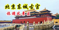 大鸡巴粗爽啪啪视频中国北京-东城古宫旅游风景区